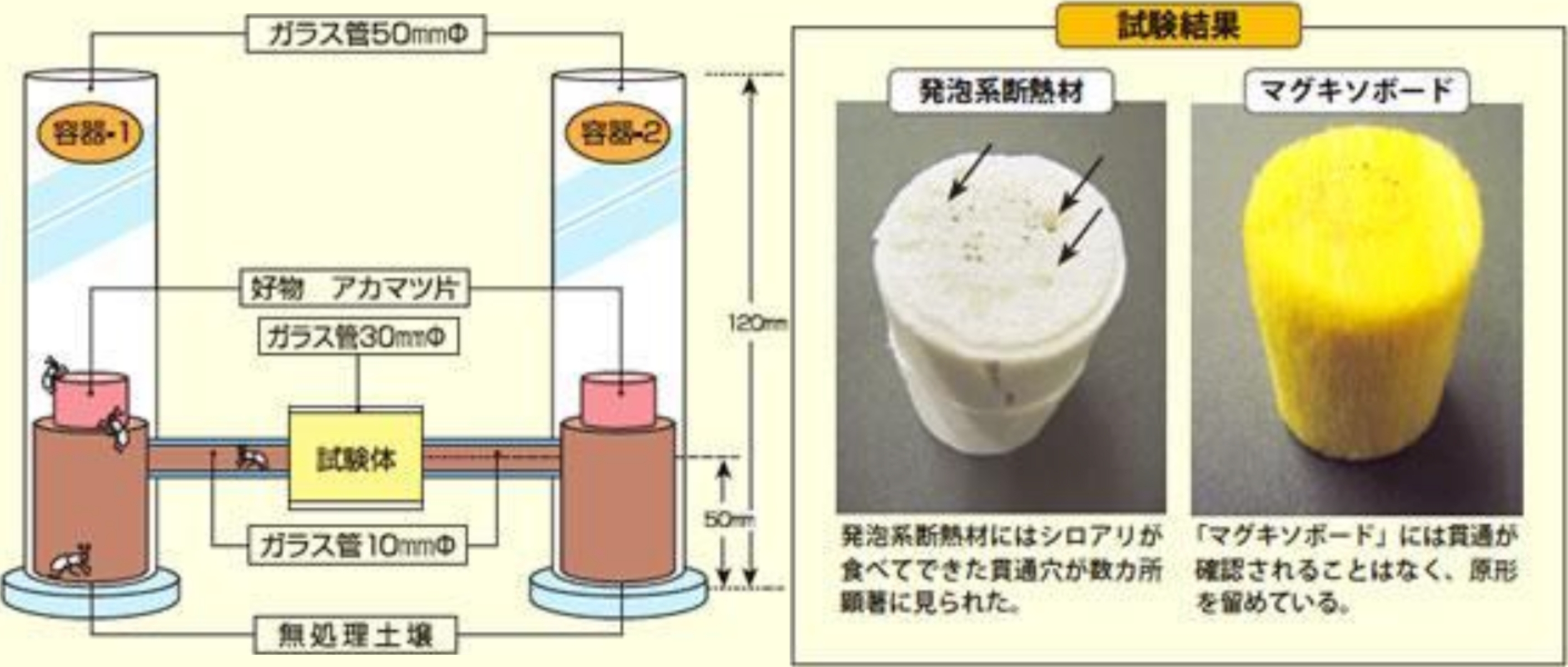 高い防蟻効果